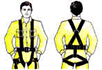 arnes seguridad